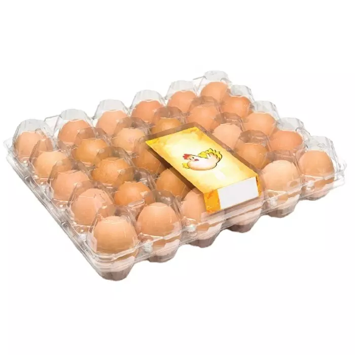 Hot Sale Customized Clear Blister Packaging 30 Holes PET Egg Trays for Home