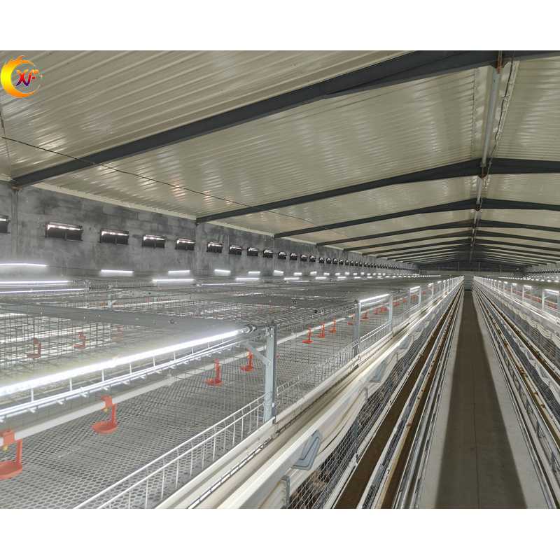 Poultry Farming Equipment Automatic Industrial Chicken Coop Design