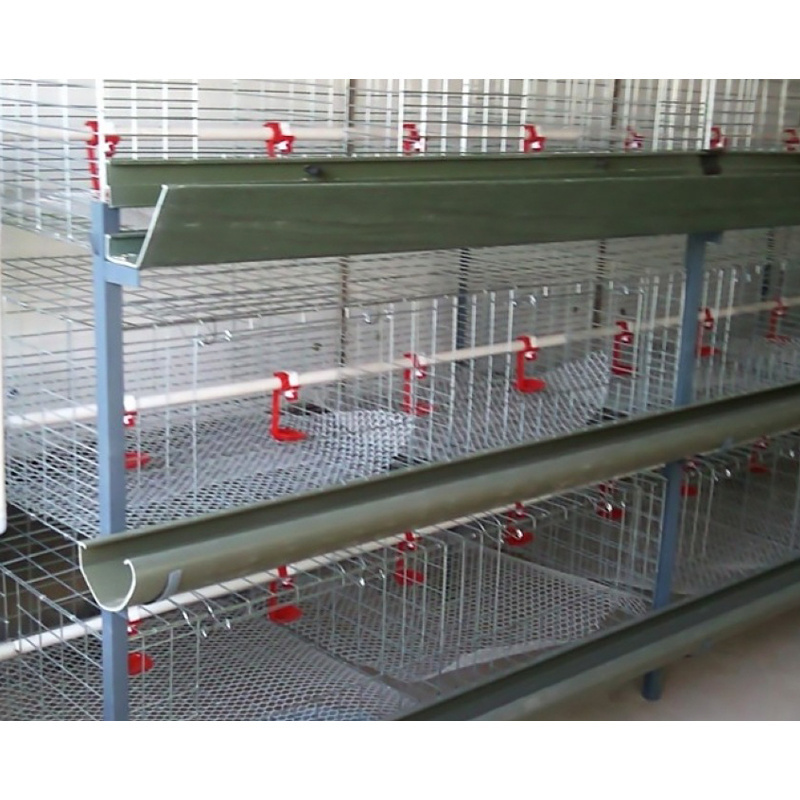 Poultry Equipment Unmanned H Type Broiler Cage PP Belt Manure Removal System Battery Chicken Cages for sale Chicken Cage