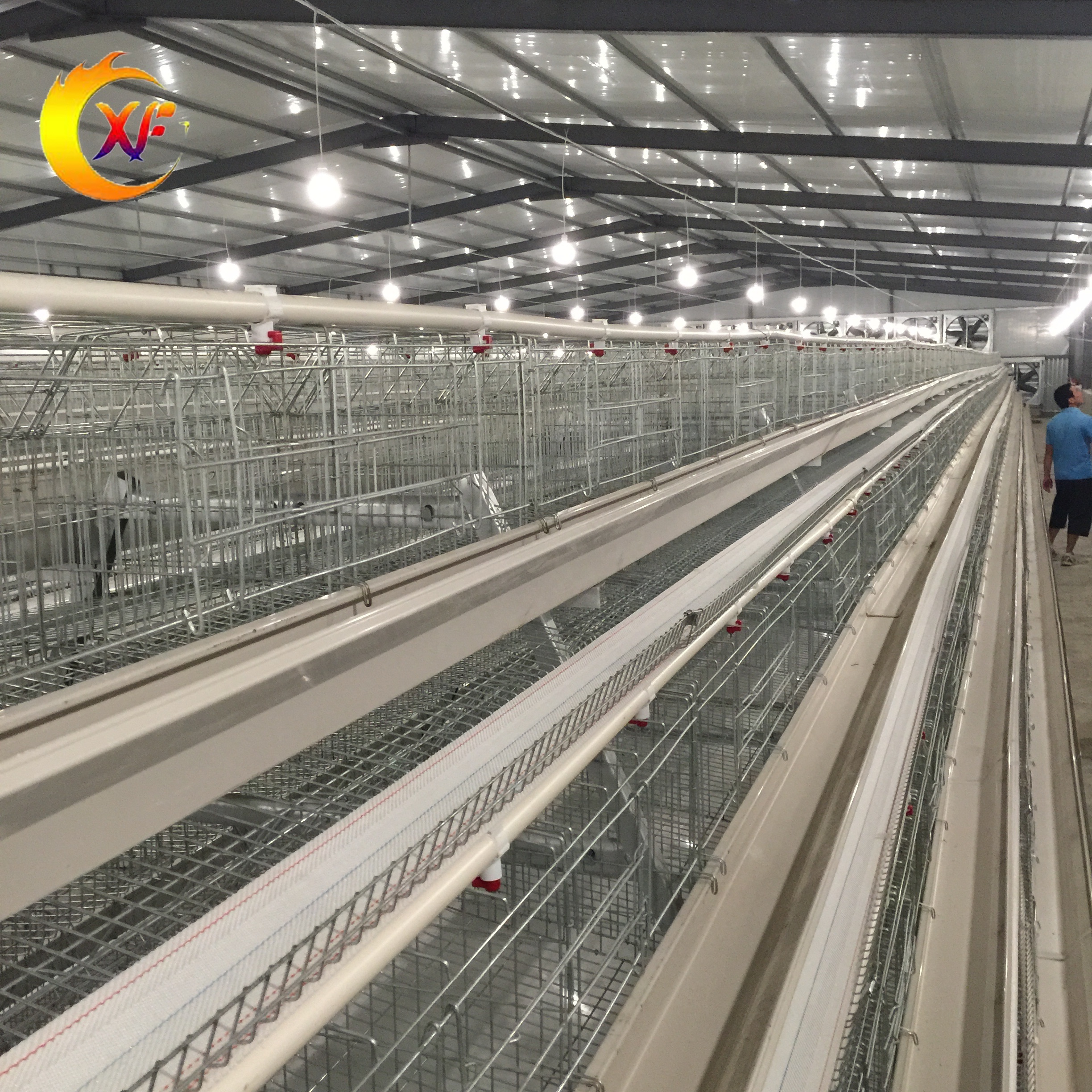 Low Price Poultry Equipment Chicken Farming Chicken House Chicken Layer Cage Price Cage for Business Carrier