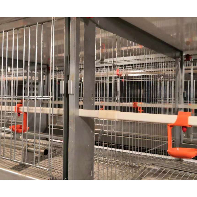 Factory Direct Sale Breeder Laying Hens Rooster Battery Breeder Cage For Sale in Karachi