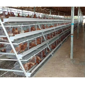 Poultry Equipment Chicken Farming  A Type 10000 Layer Chickens Farm Bird Layer Chicken Cage For Sale