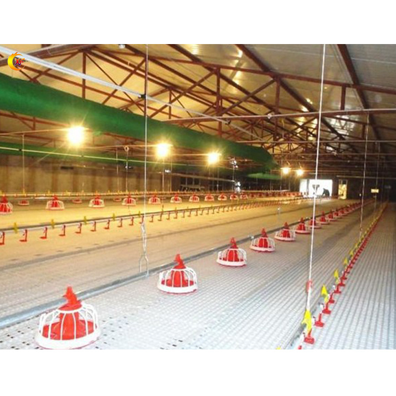 Automatic Poultry Farming Equipment Raising Broiler Chickens Manufacturers