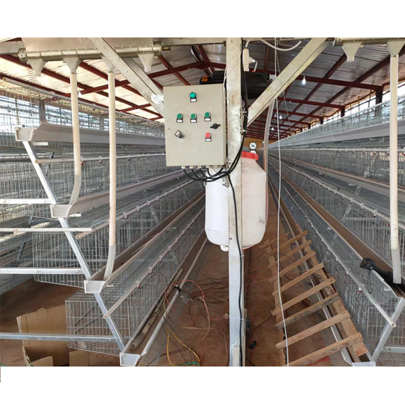 Poultry Equipment Chicken Farming  A Type 10000 Layer Chickens Farm Bird Layer Chicken Cage For Sale