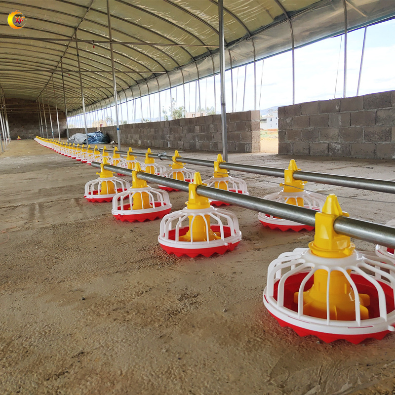 Automatic Poultry Farming Equipment Raising Broiler Chickens Manufacturers