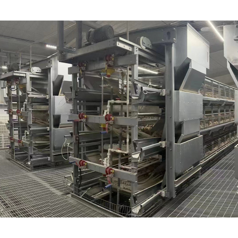 Factory Directly Sale Automatic H Type Baby Chicks Brooding Pullet Battery Cages with Drinking Water Equipment