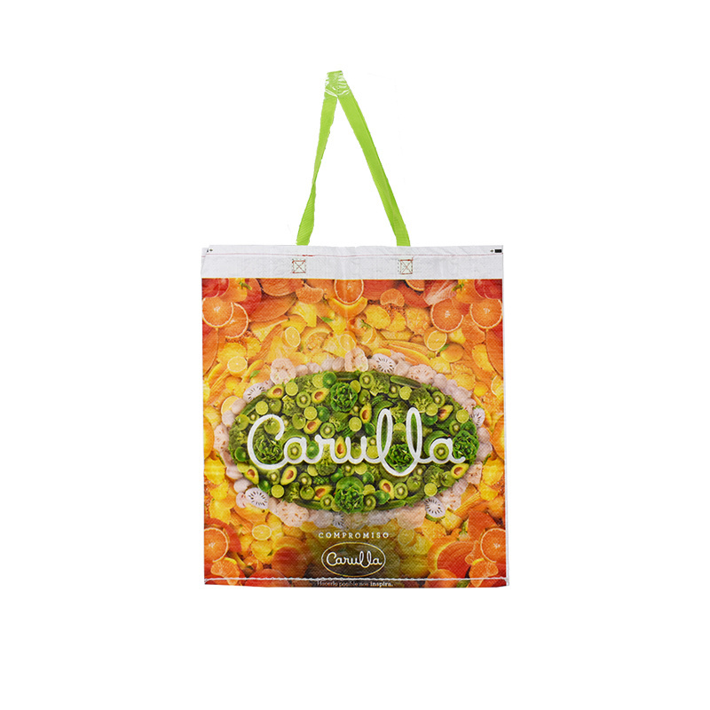 hot sale pp woven shopping grocery bag reusable shopping pp woven bag hawaii turtle for package