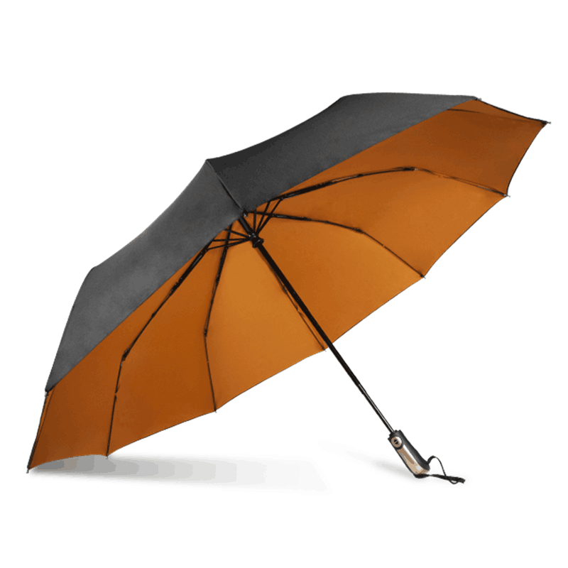 Morden Style Windproof Automatic Folding Umbrella Women Men Car Luxury Large Business Umbrella  Double Ten Bone Umbrellas