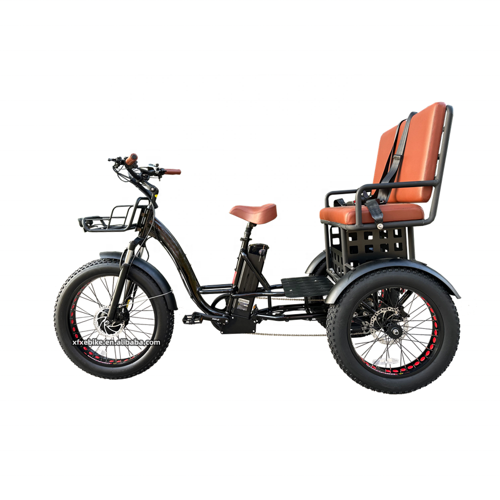 Large Capacity 48V 19.2Ah Electric Hybrid Tricycle Front 750W Hengtai 3 Wheel Electric Cargo Bike 24