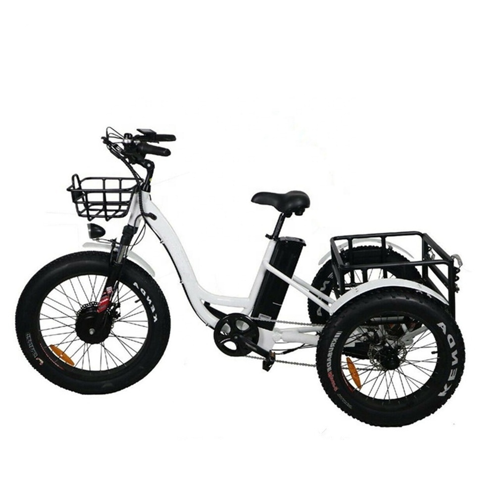 48V 14Ah Lithium Battery Disc Brake E-Tricycle 500W 750W Motor Electric Tricycle Fat Tyre