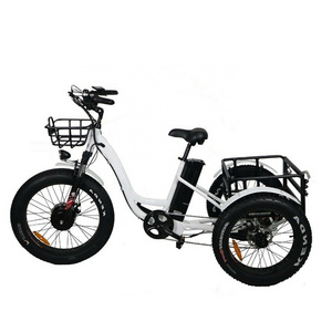 48V 14Ah Lithium Battery Disc Brake E-Tricycle 500W 750W Motor Electric Tricycle Fat Tyre