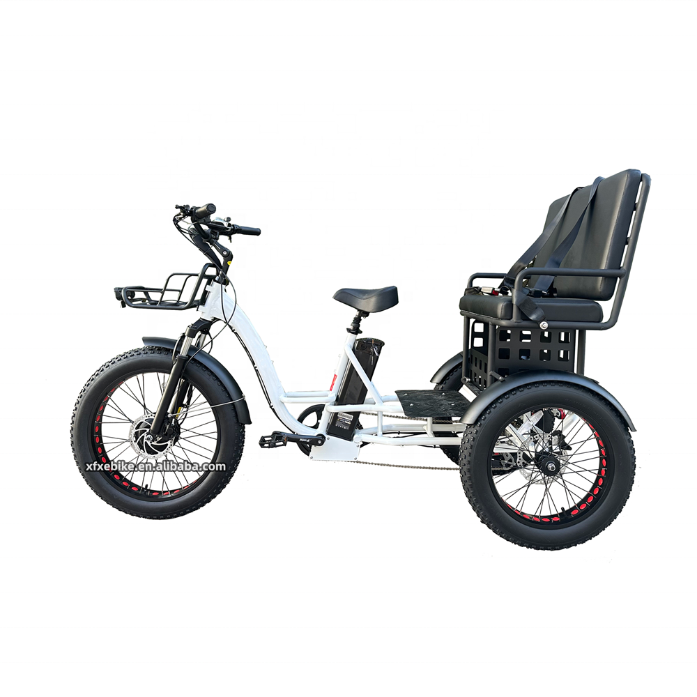 Large Capacity 48V 19.2Ah Electric Hybrid Tricycle Front 750W Hengtai 3 Wheel Electric Cargo Bike 24