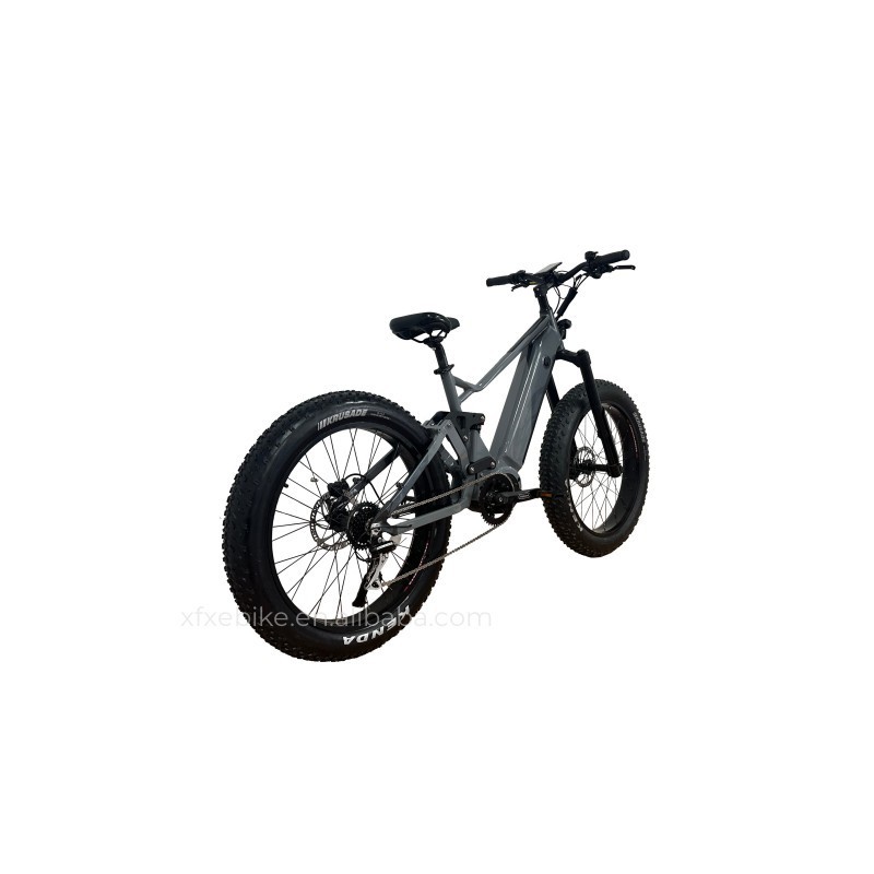 High Quality 9 Speed Full Suspension 48V 20AH Electric Fat Tire Bike 1000w Bafang Mid Drive Mountain E bike