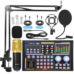 External Live Bm800 Microphone Smart Phones Broadcasting Sound Card Podcast Equipment Bundles Musical Audio Card