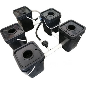 DWC rdwc Automatic Aeroponics System for Garden Greenhouse 5 Buckets Can Extend Customize for growing hydroponics system