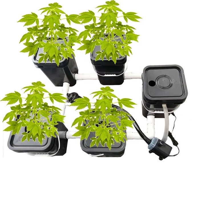 DWC rdwc Automatic Aeroponics System for Garden Greenhouse 5 Buckets Can Extend Customize for growing hydroponics system