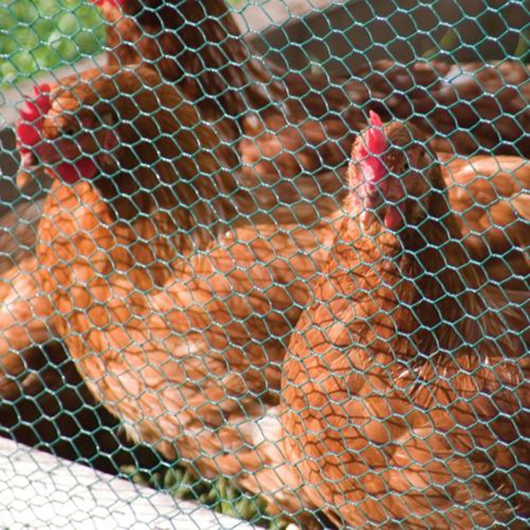 3/4inch hot dipped galvanized hexagonal wire netting for chicken fence