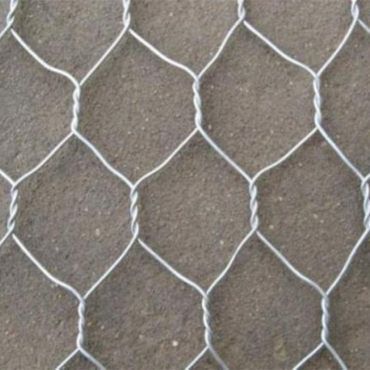 3/4inch hot dipped galvanized hexagonal wire netting for chicken fence