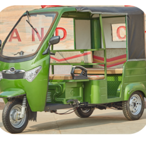 Battery Operated Adult 3 Wheel Electric Tricycle Bajaj Tuk Tuk Electric Vehicles Triciclo Electrico Adulto