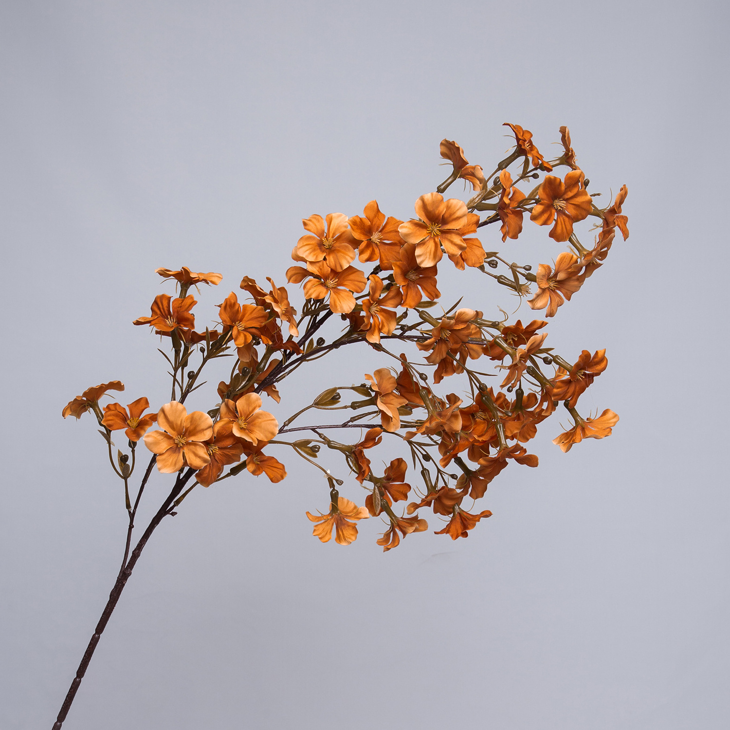 Simulation flowers  mini bauhinia autumn branch dried flowers spray wedding party decoration ted bakeroriental blossom