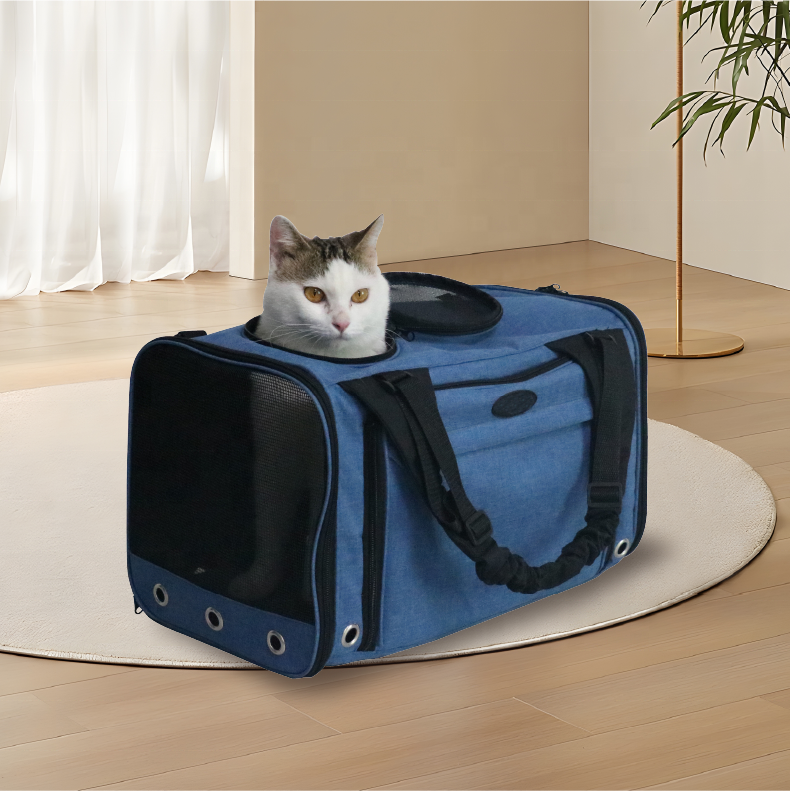 High Quality Custom Logo Soft Comfortable Oxford fabric Small Pet Travel Bag Suitcase Transparent