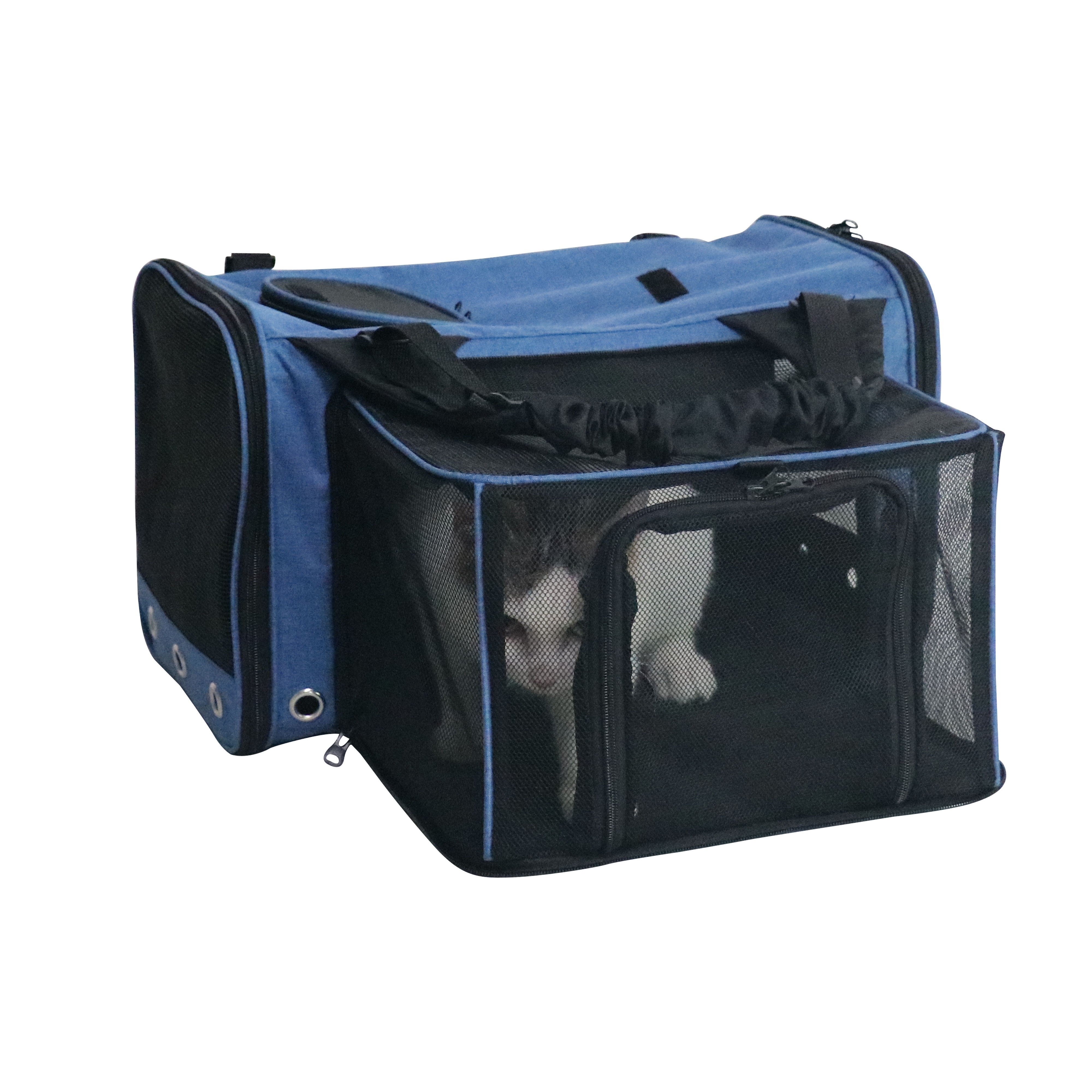 High Quality Custom Logo Soft Comfortable Oxford fabric Small Pet Travel Bag Suitcase Transparent