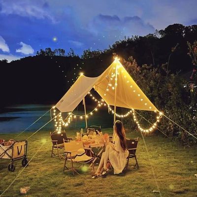 Party Waterproof Bulb Globe Home Fairy Plug In Remote Control Decor Party Wedding Party Room Solar Led Ball String Light