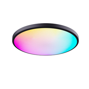 New Ceiling Light RGB Full Color Dimming And Color Adjustment Intelligent RF Remote Control Bedroom Circular LED Ceiling Light