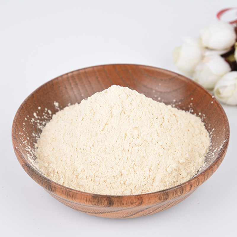 Food processing factory direct sales 100% pure freeze garlic extract powder