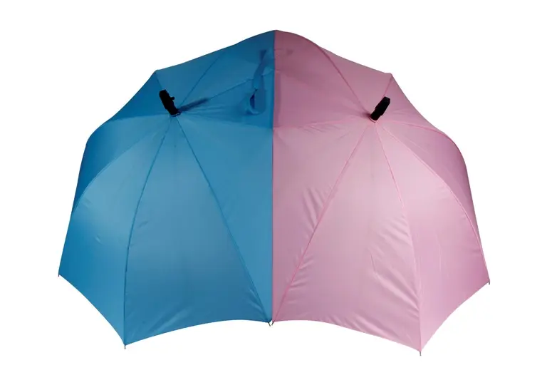 Promotional Umbrella Gift 23inch Two Person Size Lover Umbrella For Lover