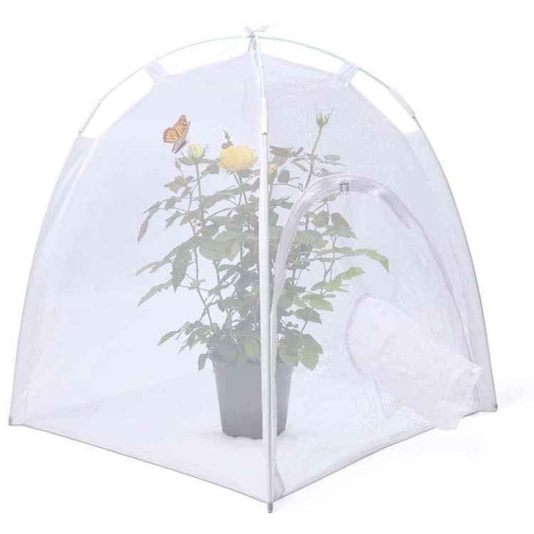 Butterfly Habitat Rearing Tents,insect Breeding Cage  Travel Outdoor Fashion Solid Pet Cages Carriers & Houses Creatio