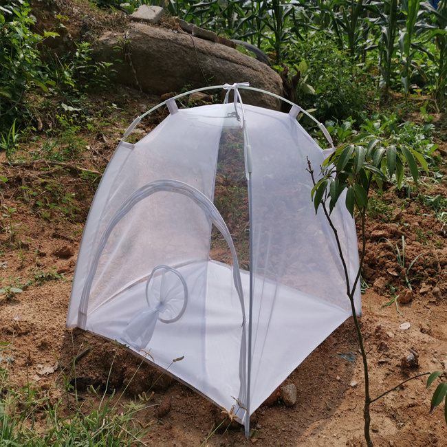 Butterfly Habitat Rearing Tents,insect Breeding Cage  Travel Outdoor Fashion Solid Pet Cages Carriers & Houses Creatio