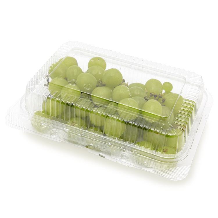 rectangular clear plastic pet sealable clamshell blister vegetable fruit grape strawberry punnet box for packaging