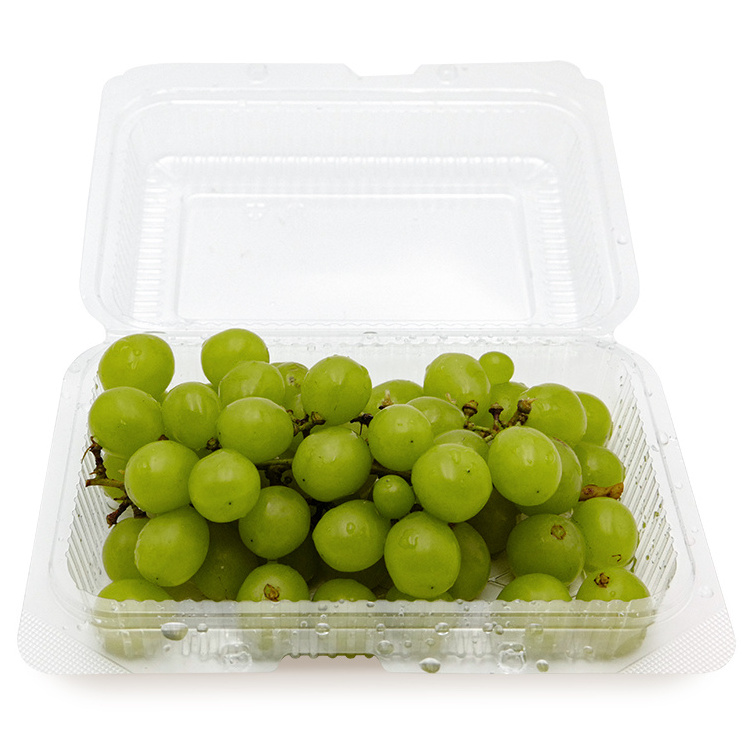 rectangular clear plastic pet sealable clamshell blister vegetable fruit grape strawberry punnet box for packaging