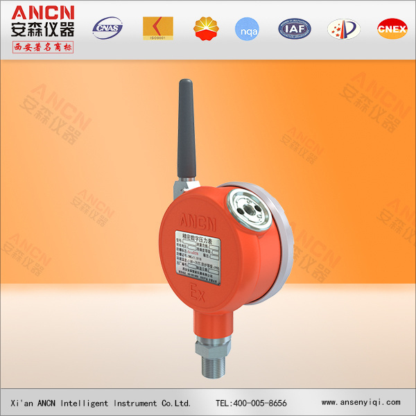 Natural Gas Pressure Gauge Digital Natural Gas Pressure Gauge ACD-Z3