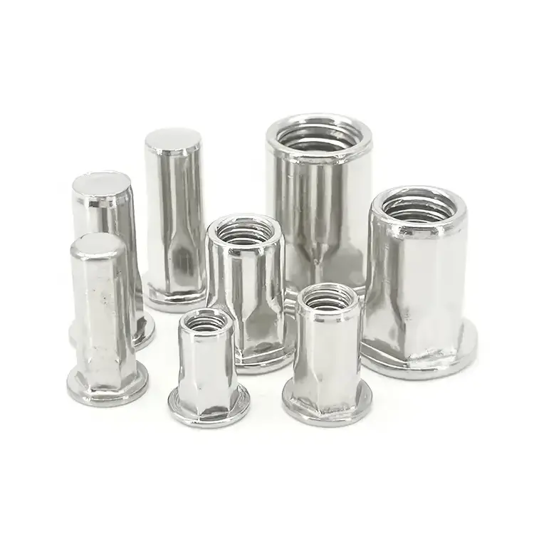 Custom M3 M4 M5 M6 M8 M10 M12 Flat Hex Head Stainless Steel Blind Rivet Nuts