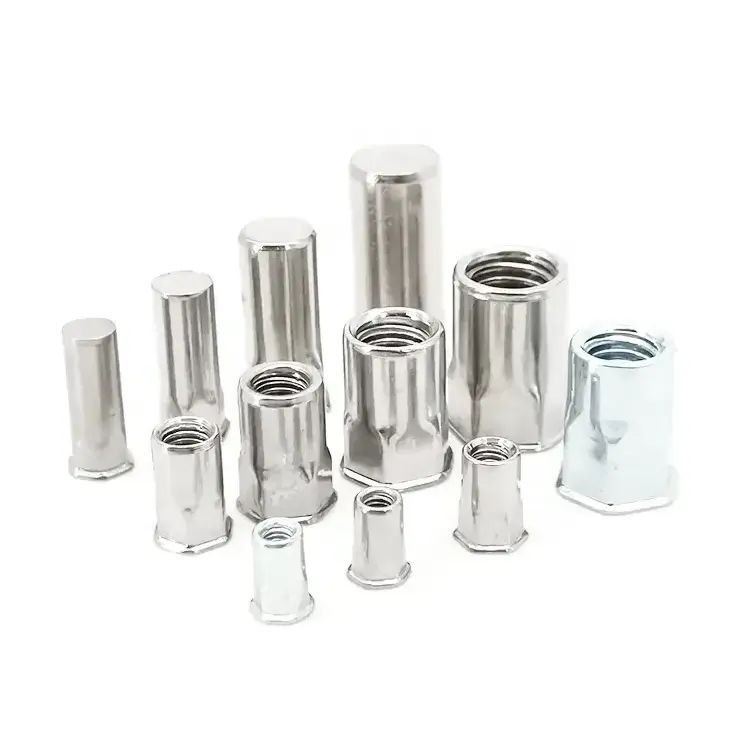 Custom M3 M4 M5 M6 M8 M10 M12 Flat Hex Head Stainless Steel Blind Rivet Nuts