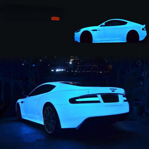 Night Glowing Luminous Car Paint Pigment Glow in the Dark Car Pigment Luminous Powder for Car Paint