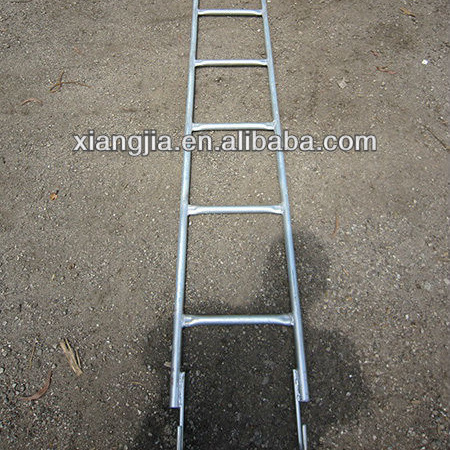 Best Selling Galvanized Monkey Ladder Steel Round Tube Scaffolding Climb Step Ladder