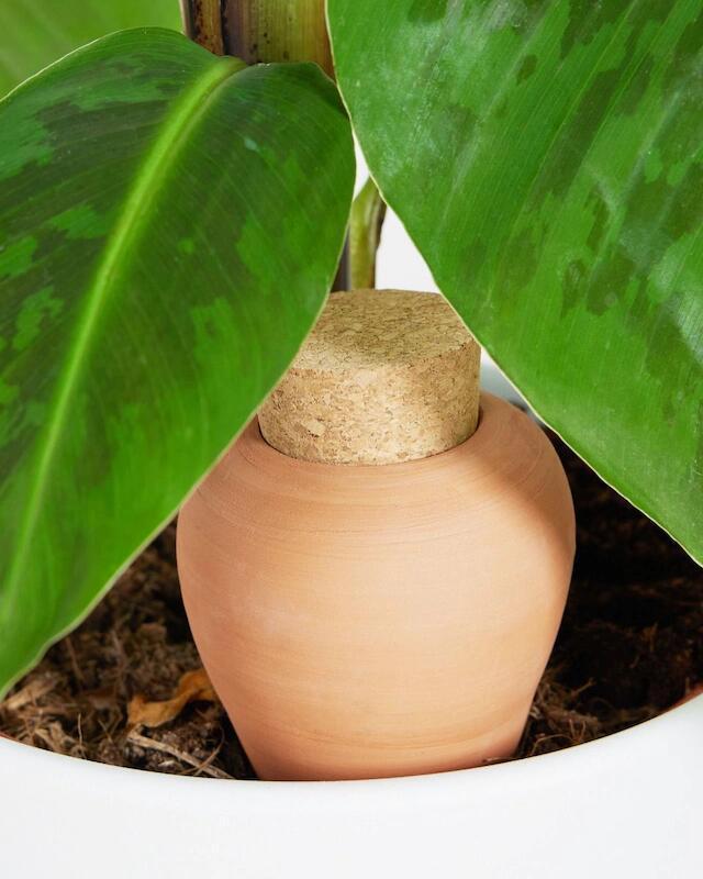 Clay Self Watering Irrigation Terracotta Watering Dripper For Plants