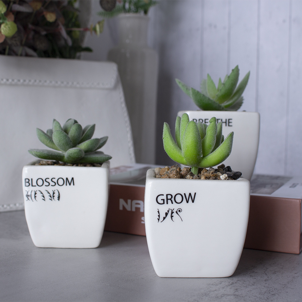 Funny Succulent Pots set of 3 Cute Mini Succulents Planters Pots Small Ceramic Cactus Pot for Housewarming Gardening Gifts