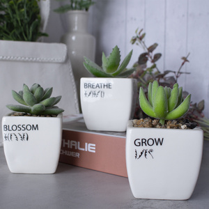 Funny Succulent Pots set of 3 Cute Mini Succulents Planters Pots Small Ceramic Cactus Pot for Housewarming Gardening Gifts