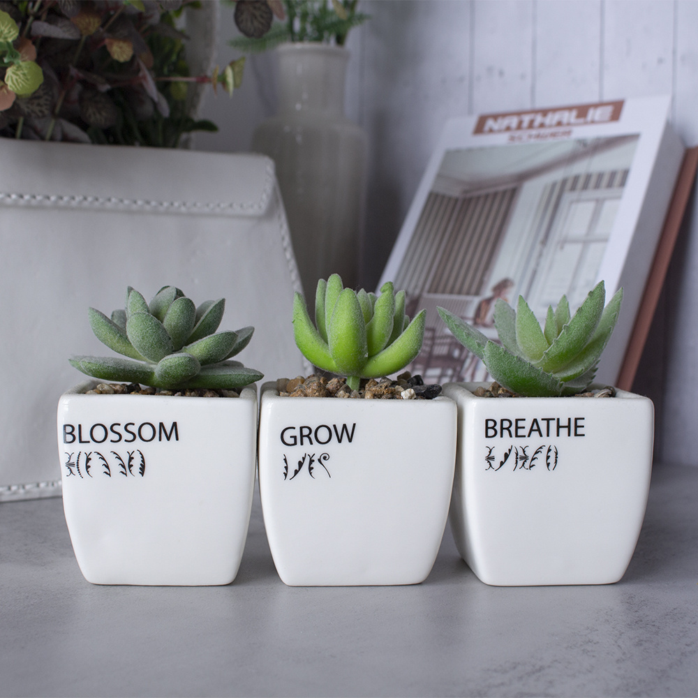 Funny Succulent Pots set of 3 Cute Mini Succulents Planters Pots Small Ceramic Cactus Pot for Housewarming Gardening Gifts