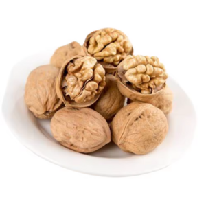 100% Organic Nuts Rich Proteins Top OEM Service Nuts and Dried Fruit Raw Cashew Nuts Price in 2022 Walnuts Bulk Packaging 5% Max