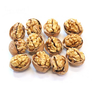 Factory 1kg Walnuts Price Walnut Halves Wholesale China Top Thin Raw Amber 25kg/bag Packaging Raw Dried Walnut Kernel Dried Nuts