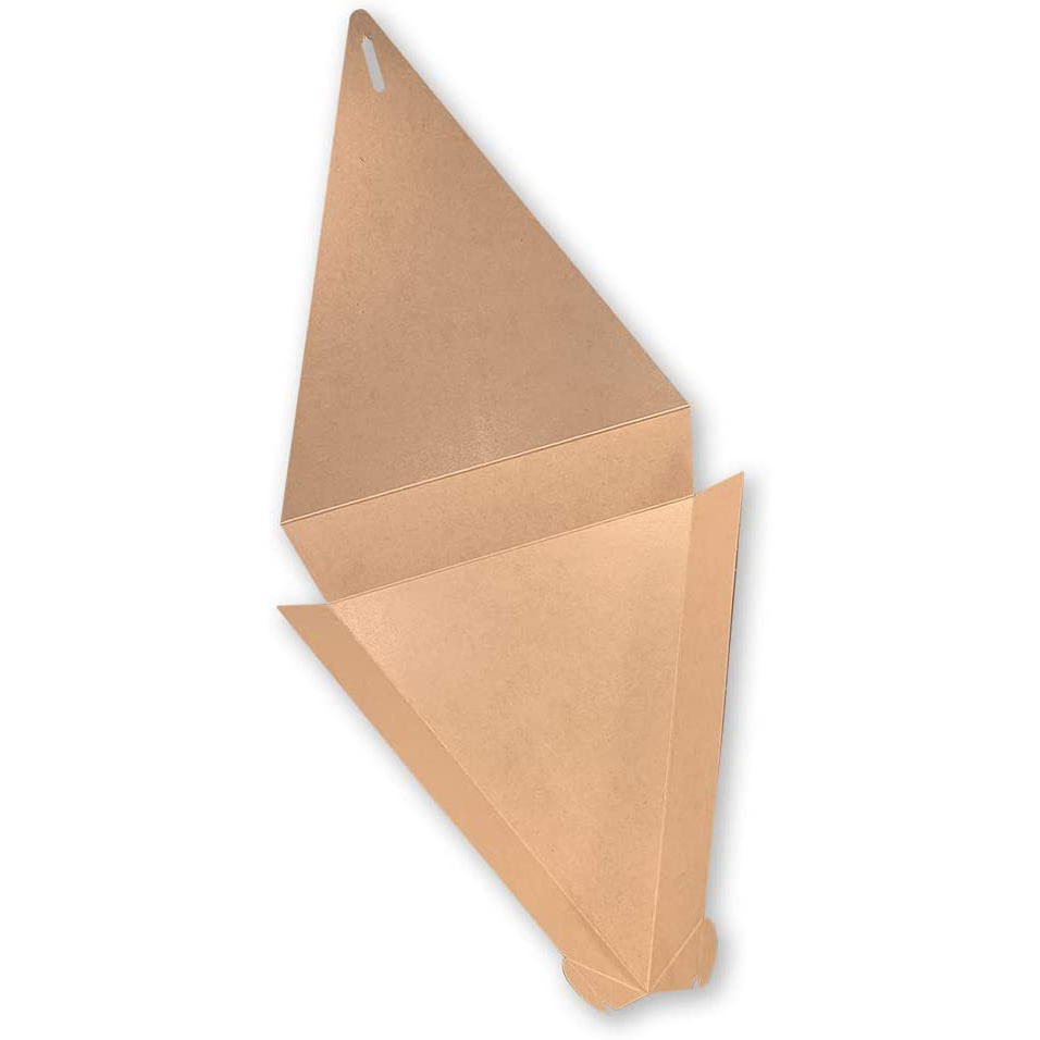 Custom Pizza box Triangle Pizza slice box