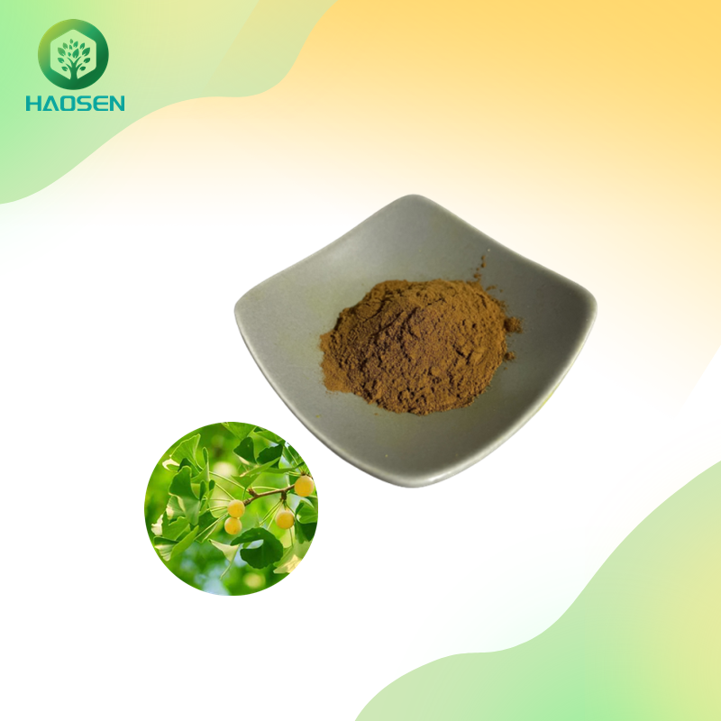 ISO Factory Ginkgo Leaf Extract Powder Ginkgo Biloba Extract Ginkgo Biloba Capsule