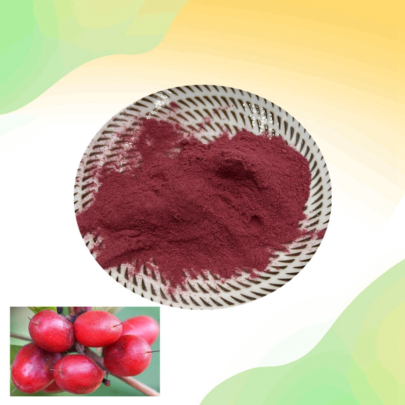 Natural Best Price High Quality Miracle Fruit Extract Powder Miracle Fruit Powder