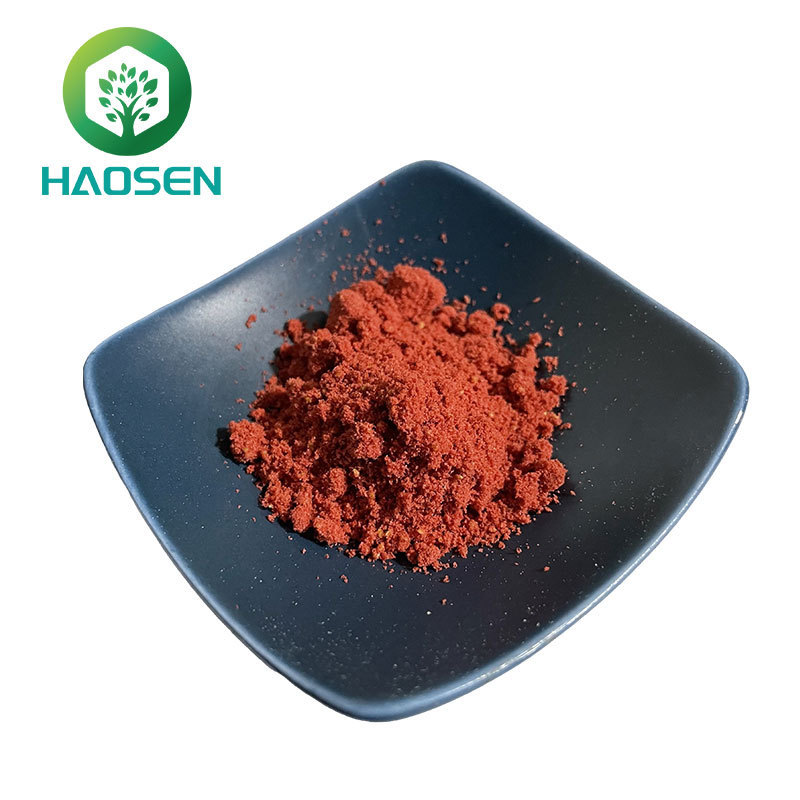 Haosen Supply High Quality Natural  Pine bark extract PYC 95%  powder