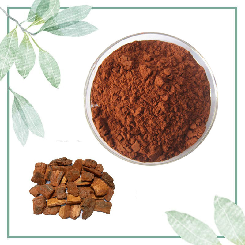 Haosen Supply High Quality Natural  Pine bark extract PYC 95%  powder